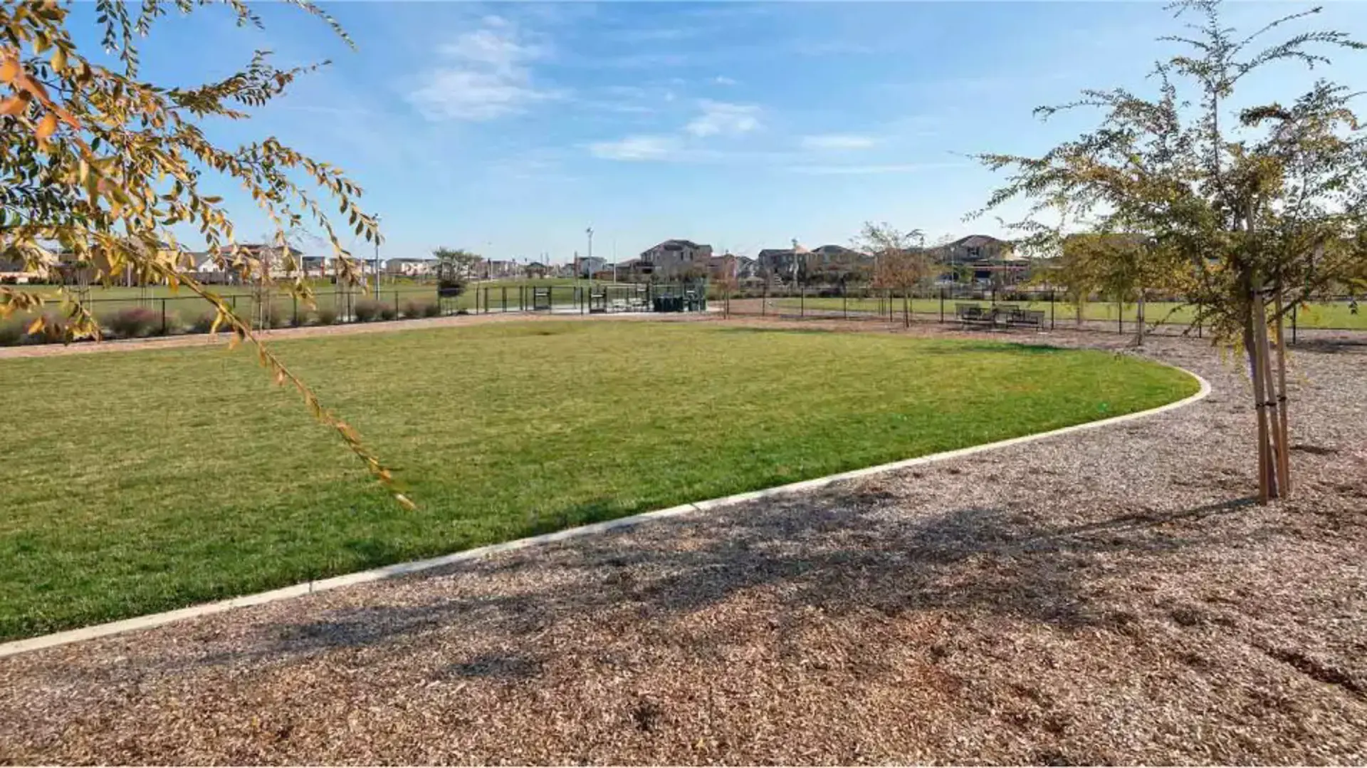 Open neighborhood dog park
