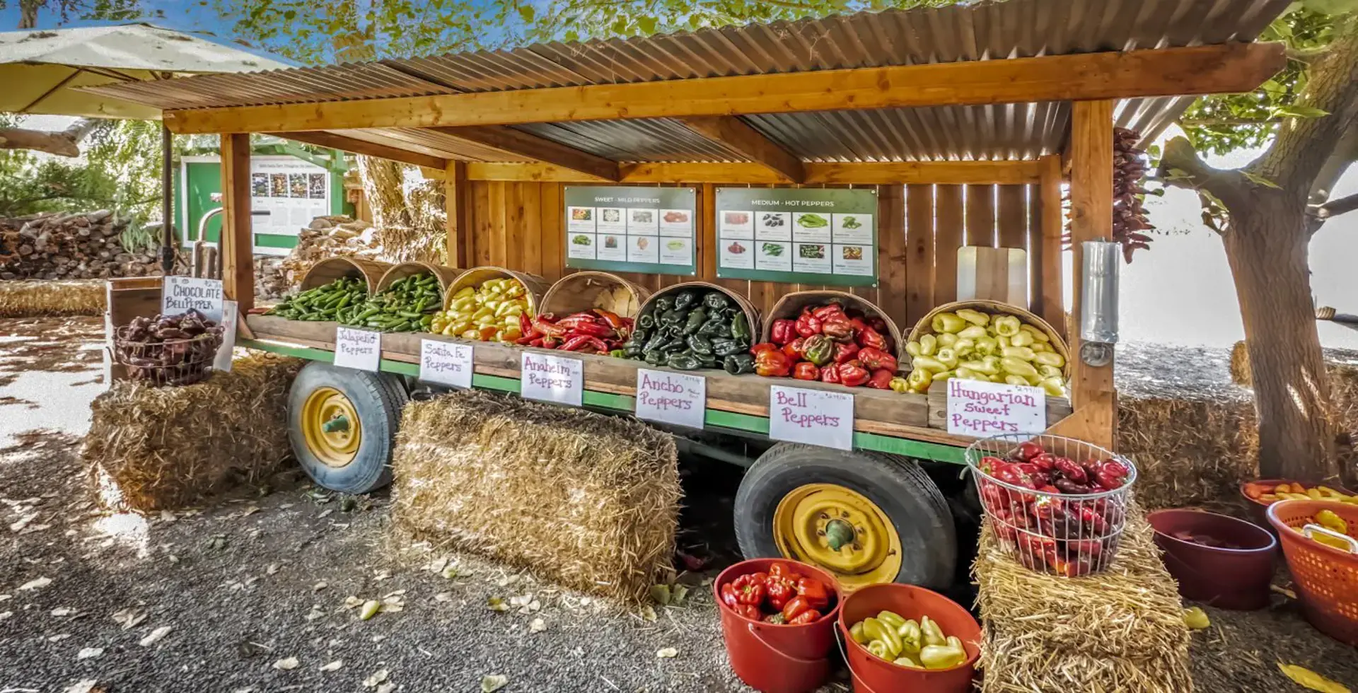 Smith Family Farm near Antioch